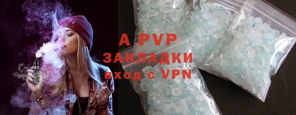 индика Балахна