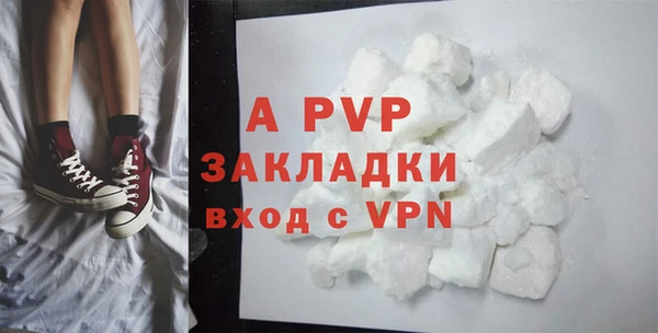 индика Балахна