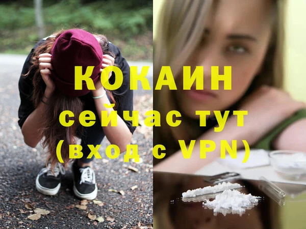 индика Балахна
