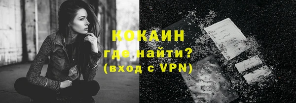 индика Балахна