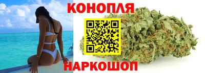 гидропоника Балашиха