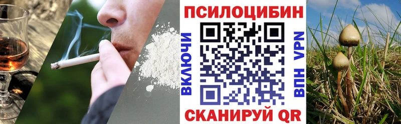 ссылка на мегу зеркало  Бор  Галлюциногенные грибы Cubensis 